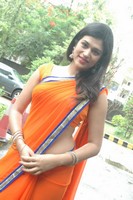 Actress Shraddha Das Saree Photos